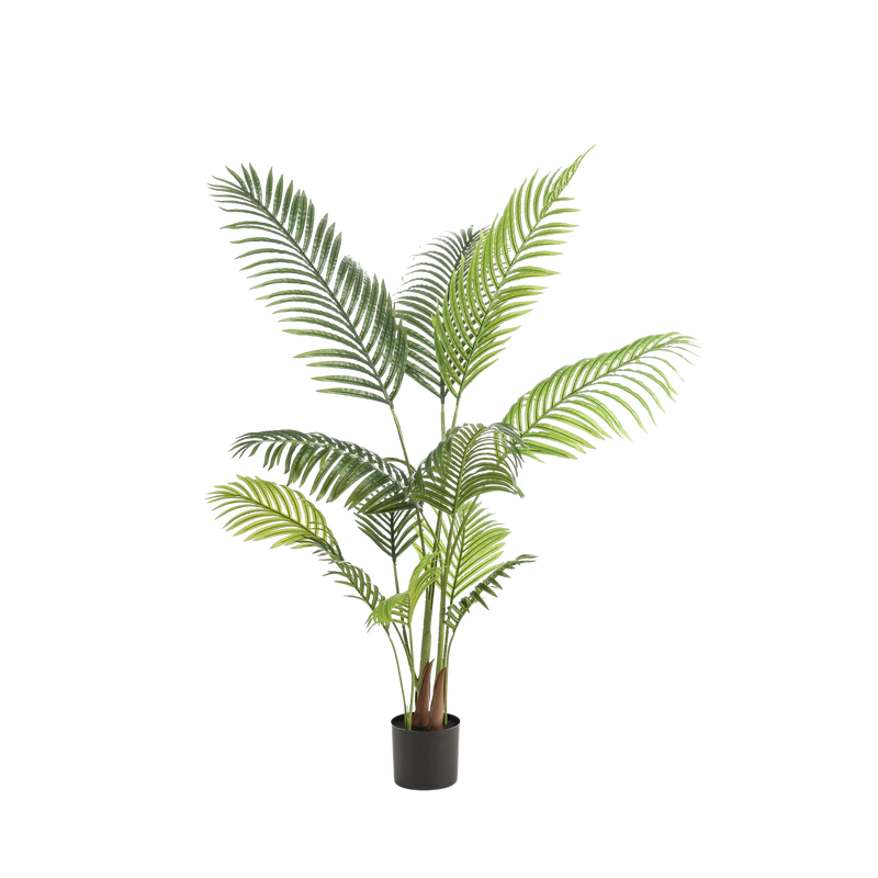Howea Forsteriana Kunstplant (Paradijspalm)