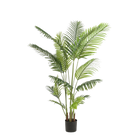 Howea Forsteriana Kunstplant (Paradijspalm)