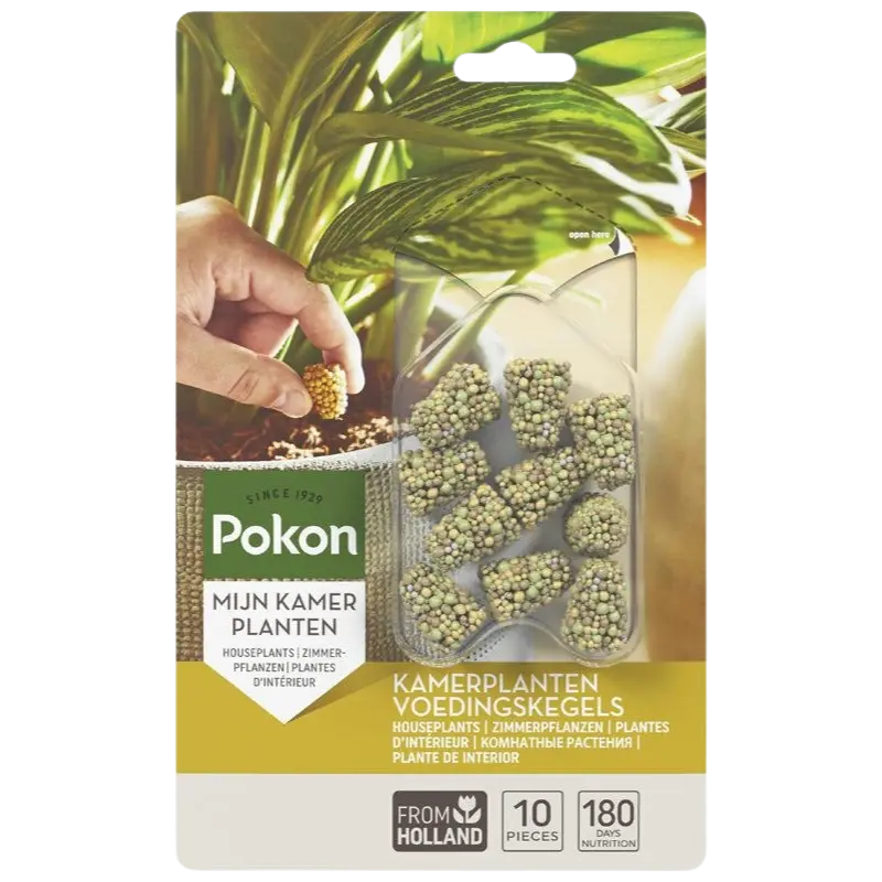Kamerplanten Voedingskegels - 10 stuks Everspring