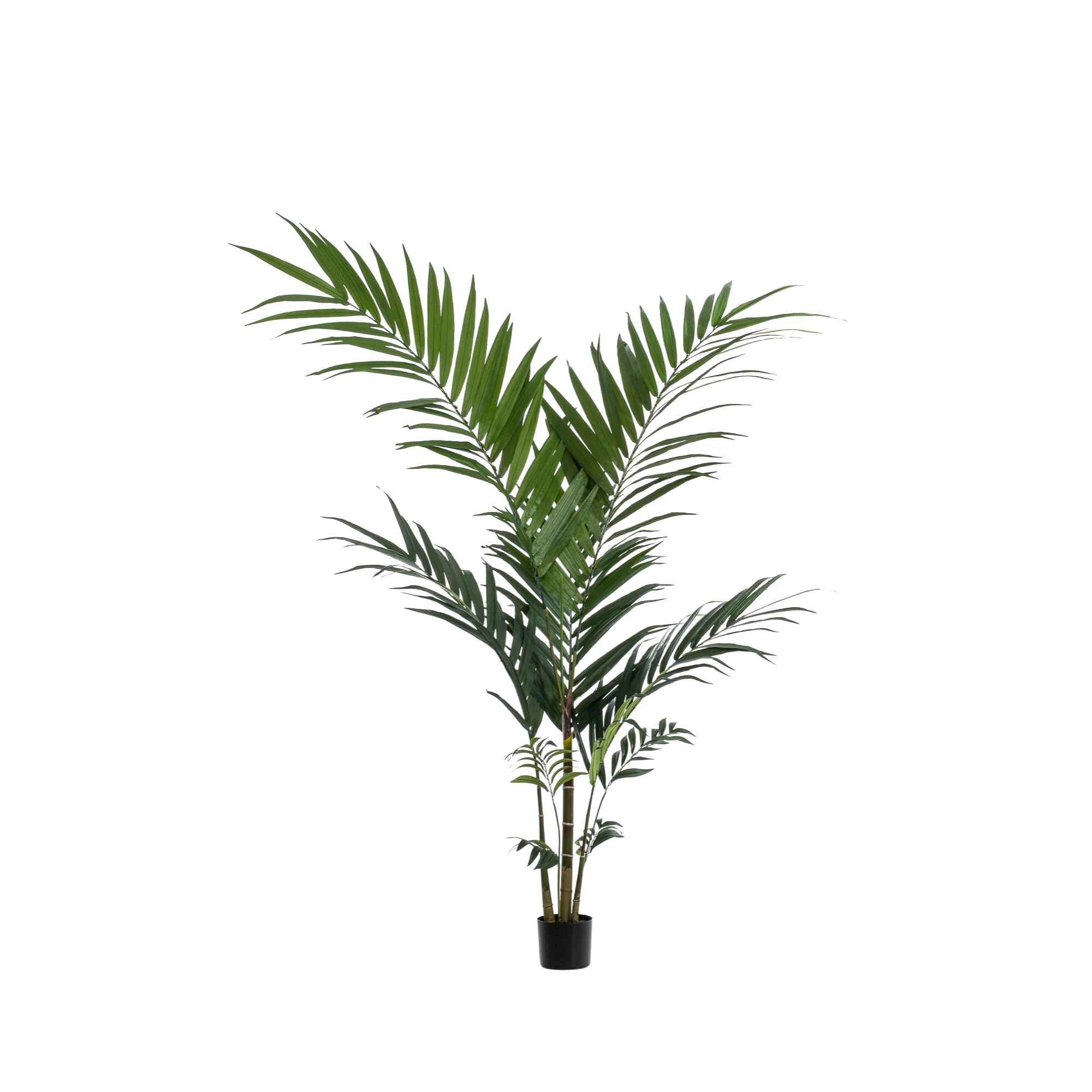 Kentia kunstplant (Kentiapalm)