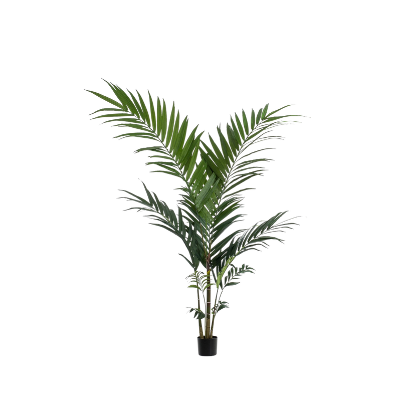 Kentia kunstplant (Kentiapalm)