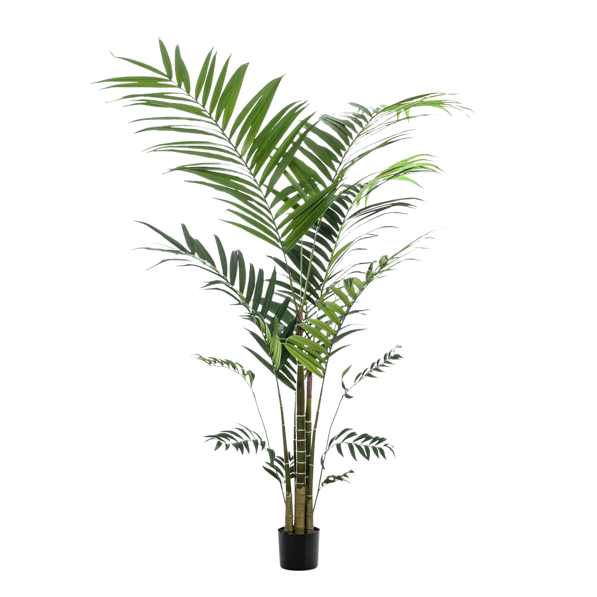 Kentia kunstplant (Kentiapalm)