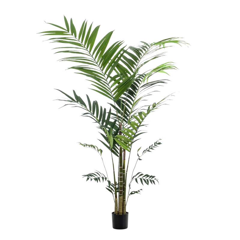 Kentia kunstplant (Kentiapalm)