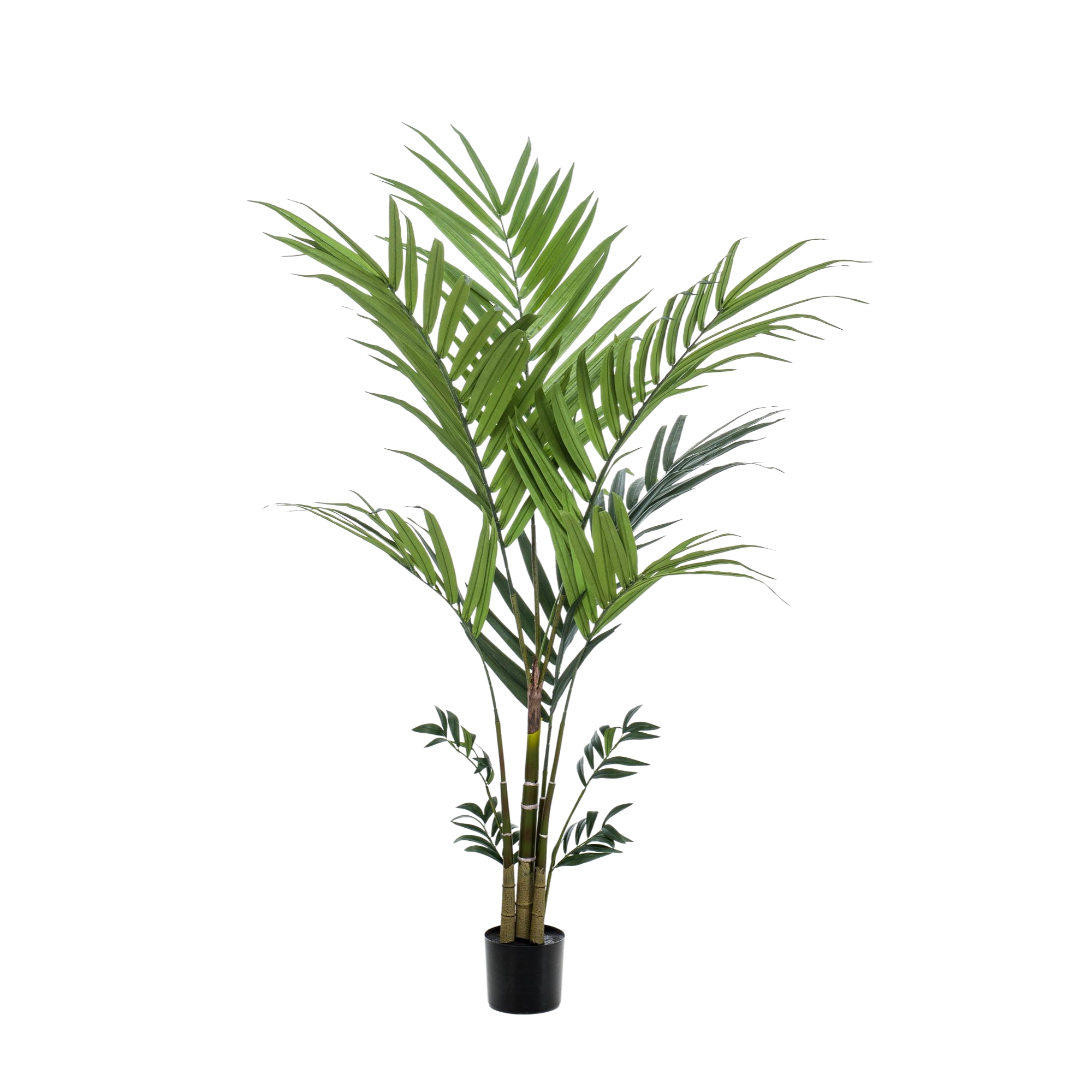 Kentia kunstplant (Kentiapalm)