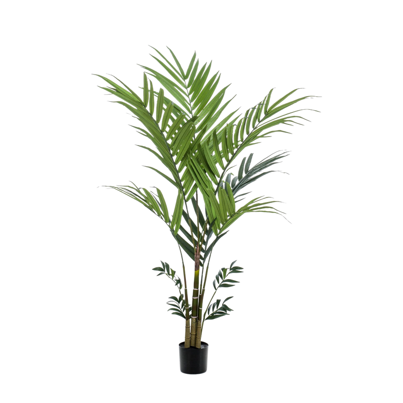 Kentia kunstplant (Kentiapalm)