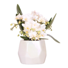 Kolibri Orchids | Witte orchidee Nazaré + Pearl sierpot Travertine