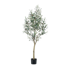 Kunst Olijfboom (Olea europaea) Everspring