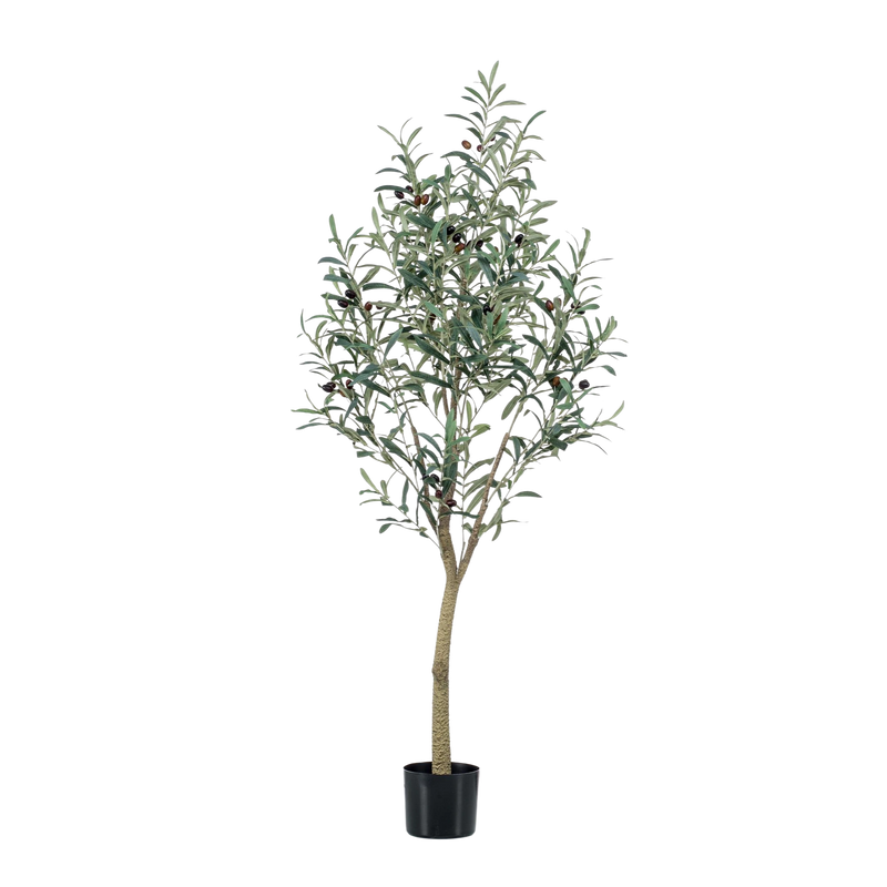 Kunst Olijfboom (Olea europaea)