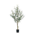 Kunst Olijfboom (Olea europaea)