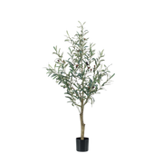 Kunst Olijfboom (Olea europaea)