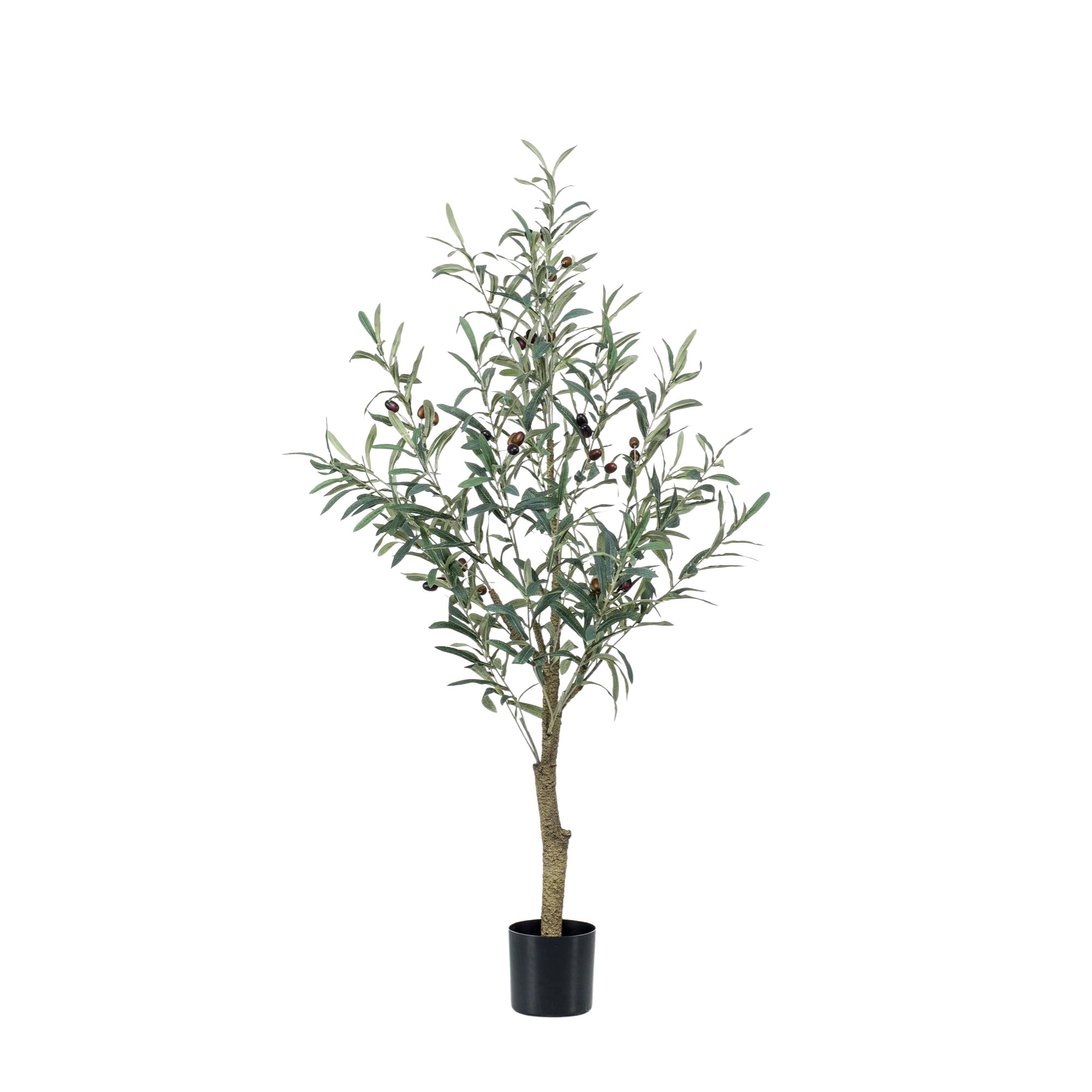 Kunst Olijfboom (Olea europaea)