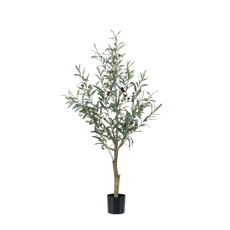 Kunst Olijfboom (Olea europaea)