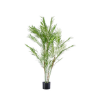 Kunst Tropaeolum Speciosum (Oost-Indische Kers)