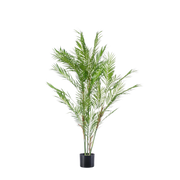 Kunst Tropaeolum Speciosum (Oost-Indische Kers)