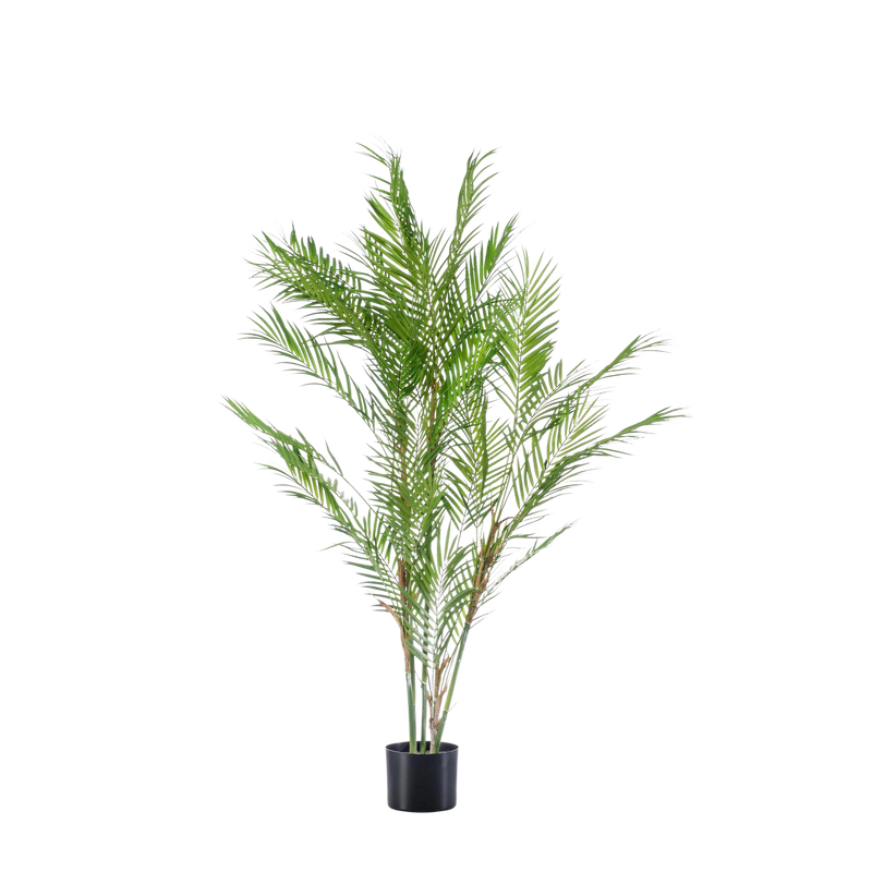 Kunst Tropaeolum Speciosum (Oost-Indische Kers)