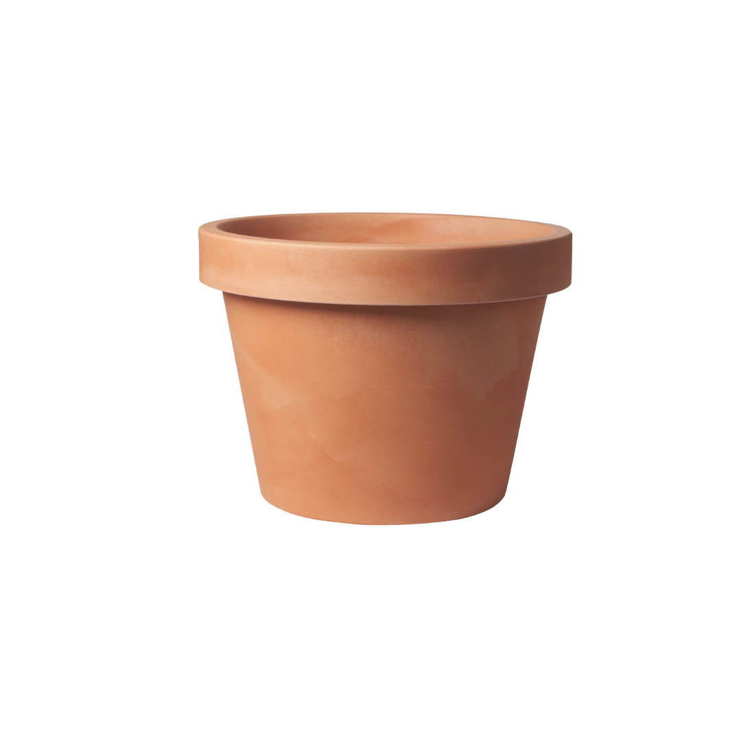 Lira Terra
