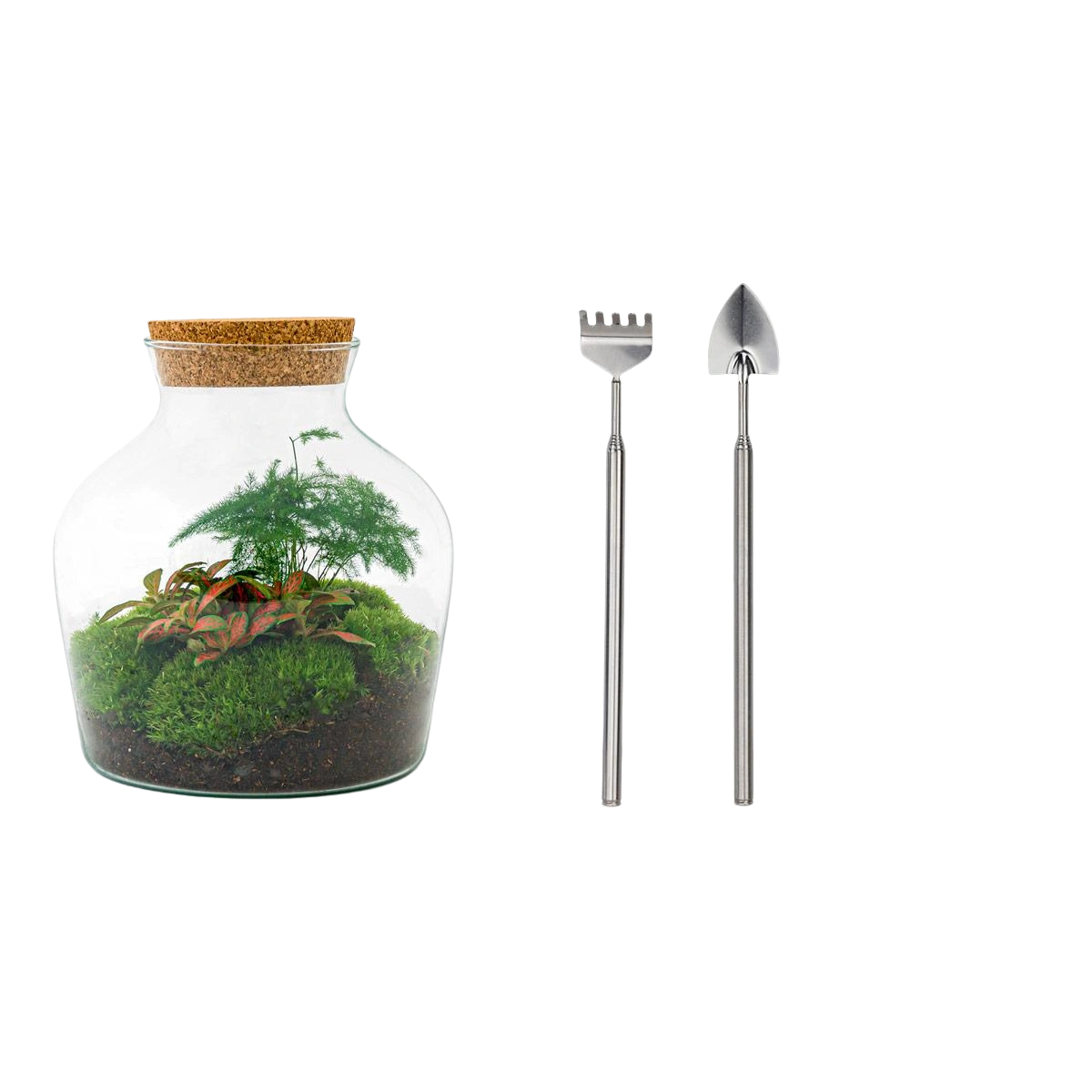 Little Joe Terrarium
