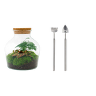 Little Joe Terrarium