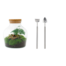Little Joe Terrarium