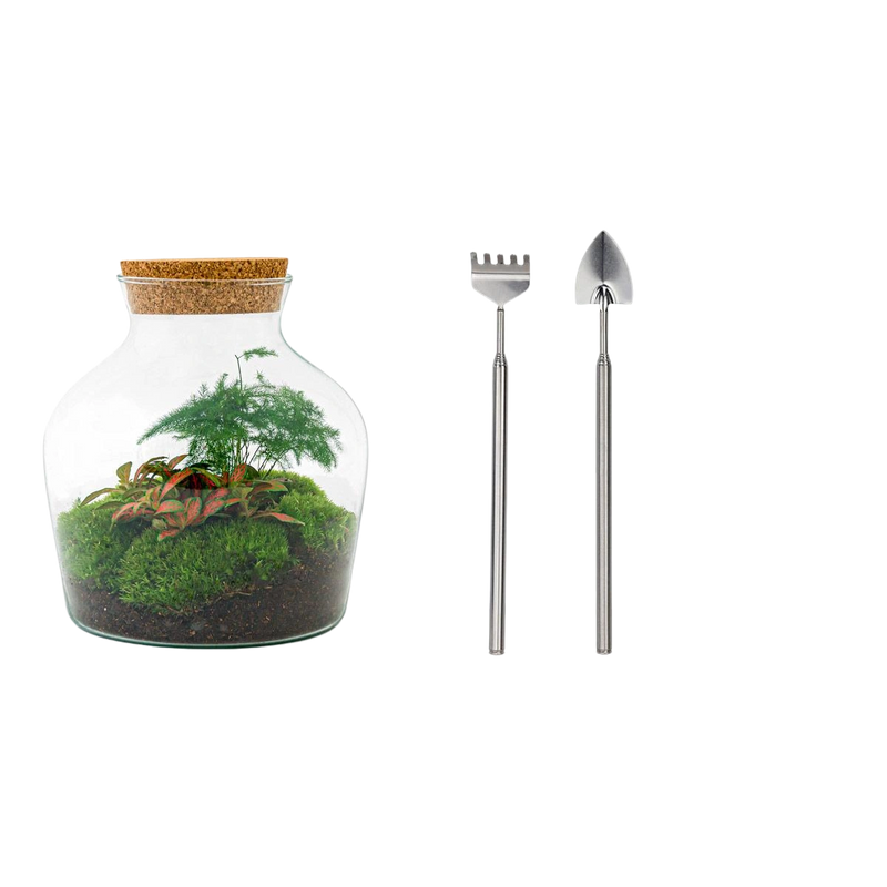 Little Joe Terrarium
