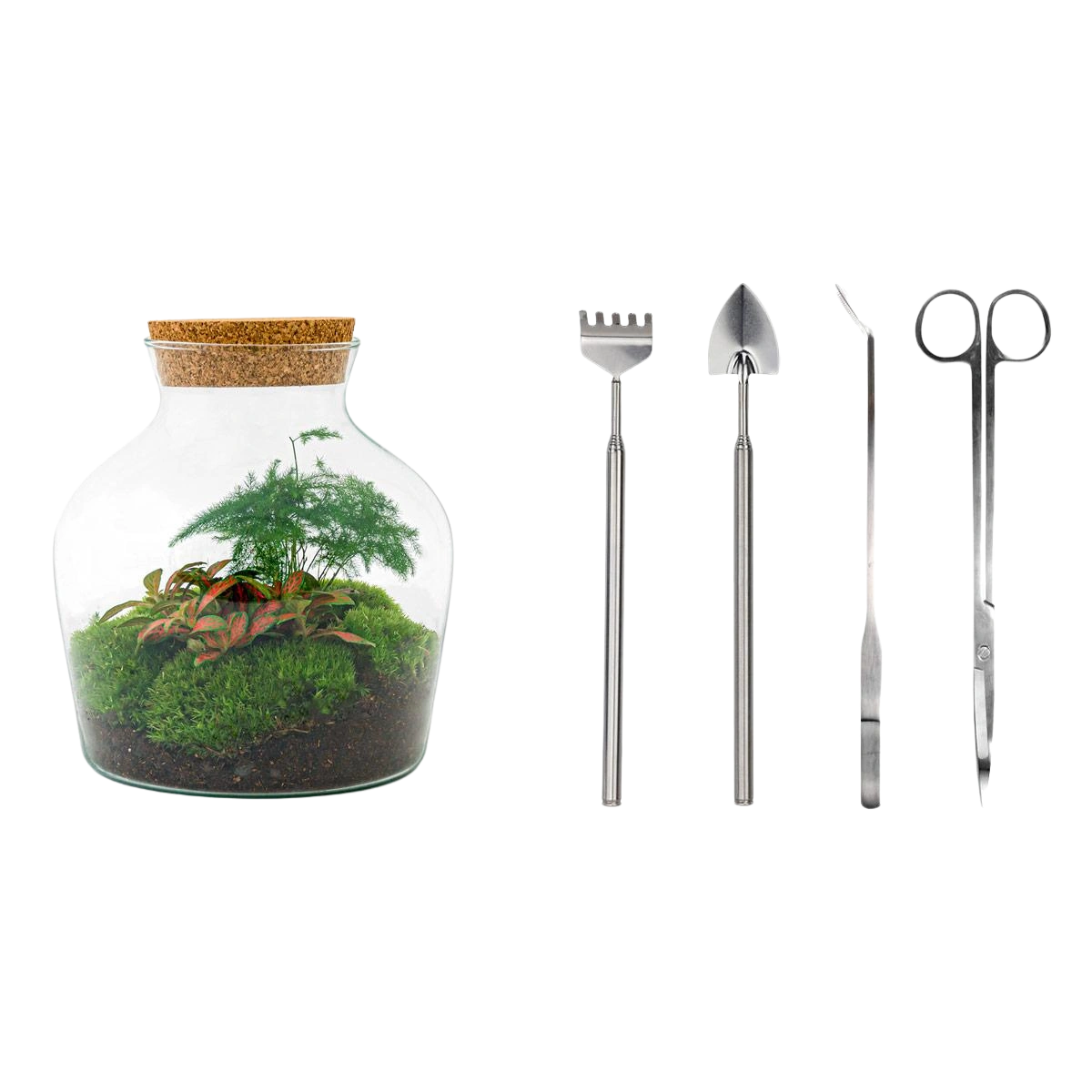 Little Joe Terrarium