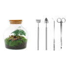 Little Joe Terrarium