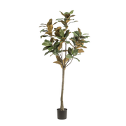 Magnolia Grandiflora Kunstplant Everspring