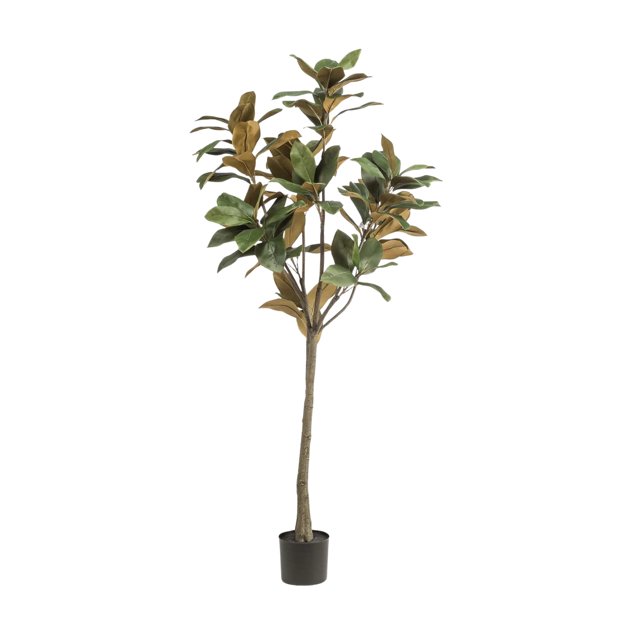 Magnolia Grandiflora Kunstplant Everspring