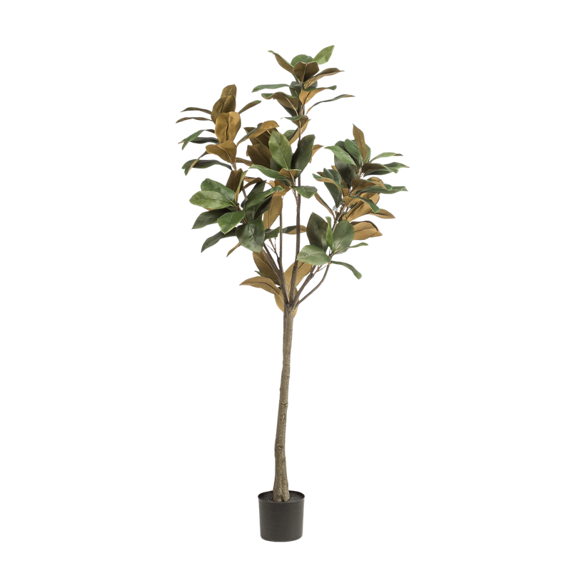 Magnolia Grandiflora Kunstplant