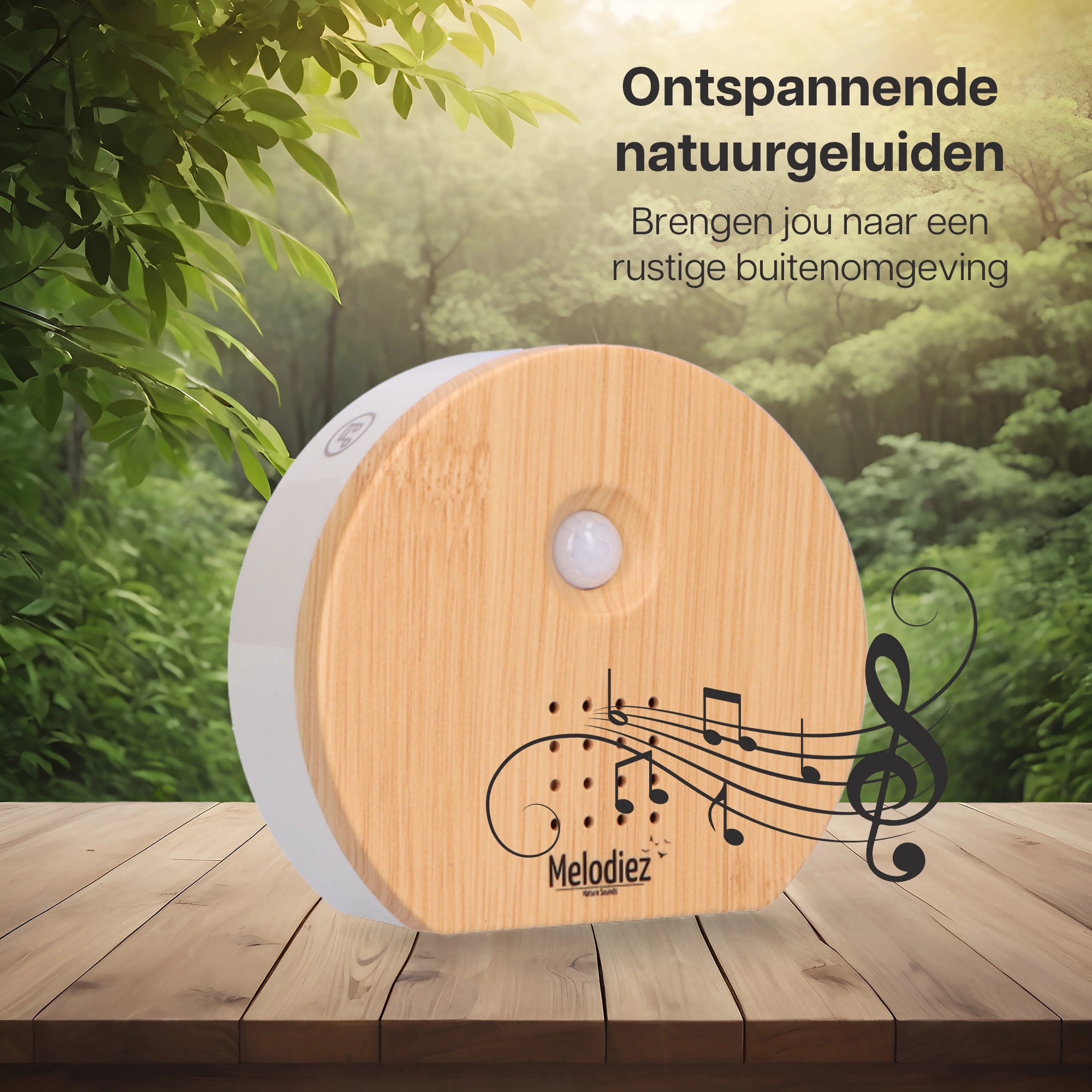 Melodiez music box - Hout