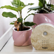 Melodiez music box - Natuursteen Everspring