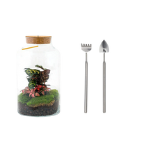 Milky Calathea met LED - Terrarium