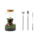 Milky Calathea met LED - Terrarium