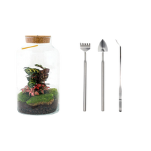 Milky Calathea met LED - Terrarium