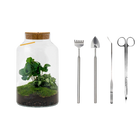 Milky Coffea met LED - Terrarium