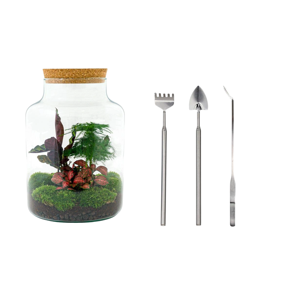 Milky Terrarium