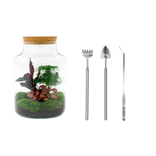 Milky Terrarium