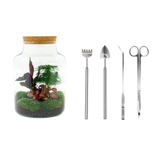 Milky Terrarium