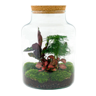 Milky Terrarium