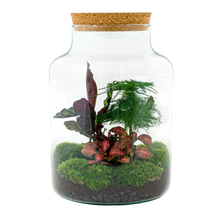 Milky Terrarium