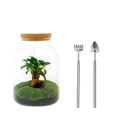 Milky met bonsai Terrarium