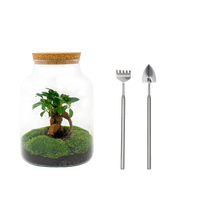 Milky met bonsai Terrarium
