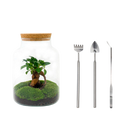 Milky met bonsai Terrarium