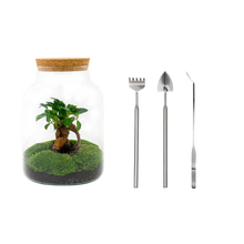 Milky met bonsai Terrarium