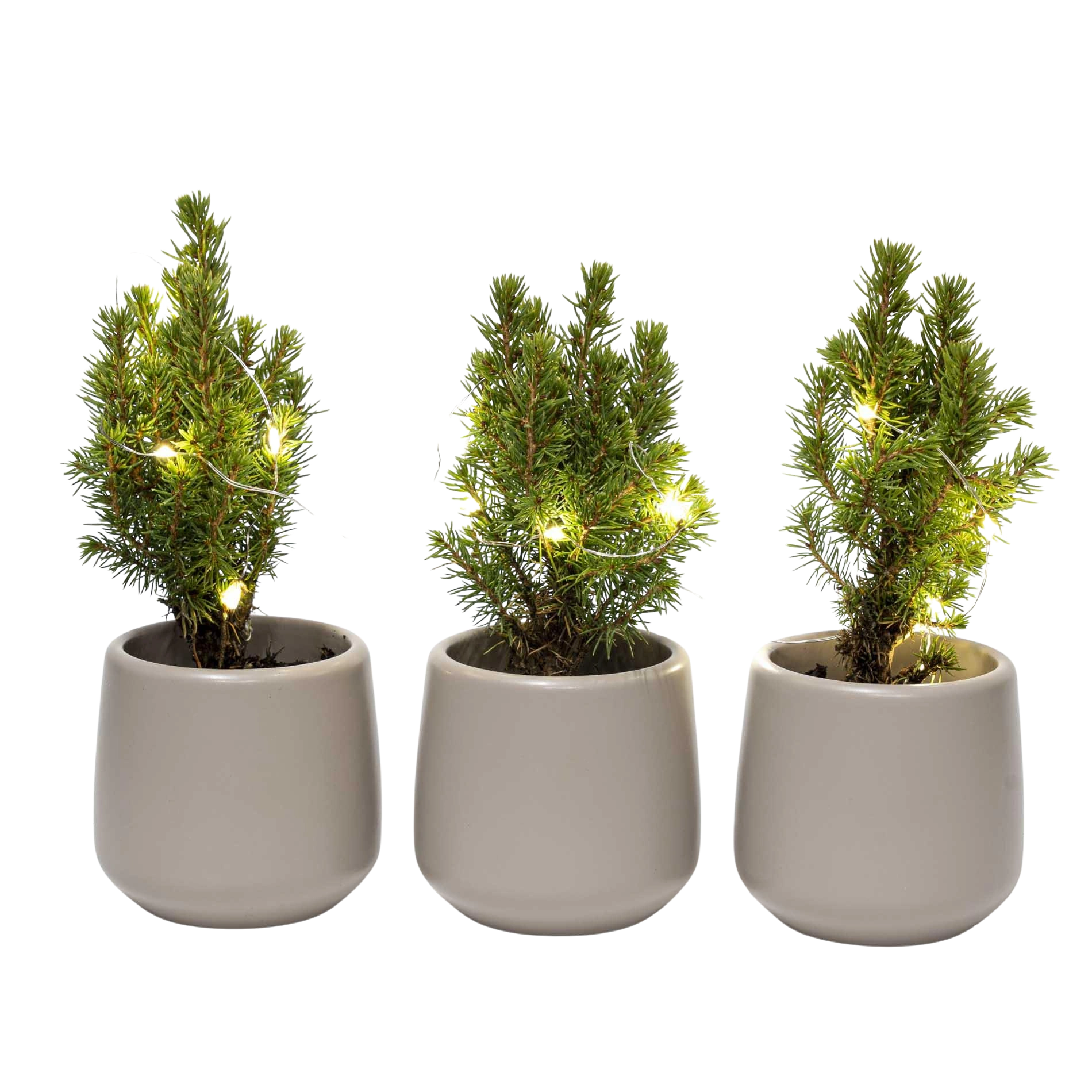 Mini Kerstboom Set – Pot Joey Grijs + LED