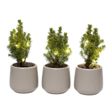 Mini Kerstboom Set – Pot Joey Grijs + LED