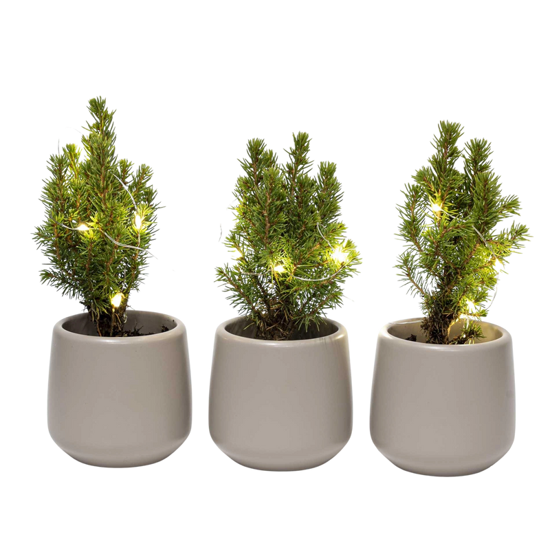 Mini Kerstboom Set – Pot Joey Grijs + LED