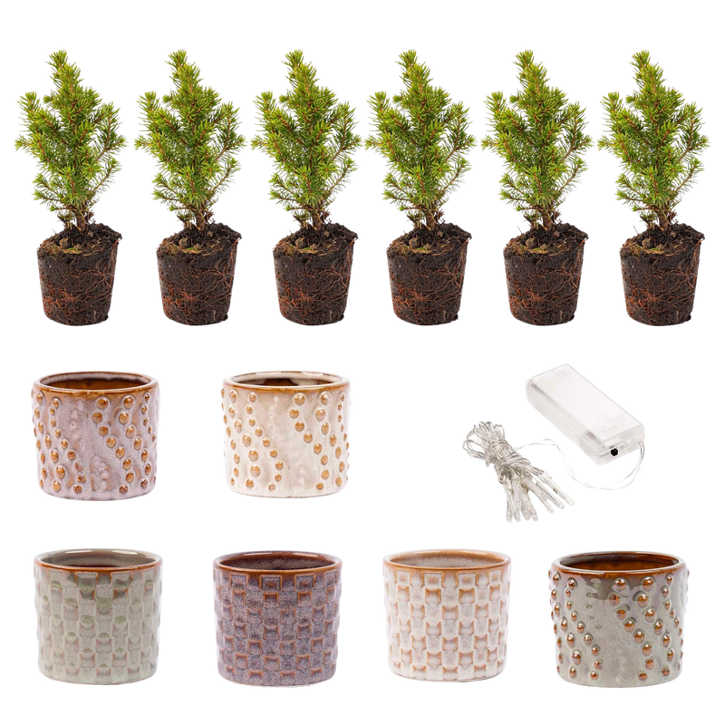 Mini Kerstboom Set – Potten Madrid + LED