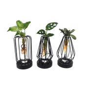 Mix in Turijn Glas + Led Everspring