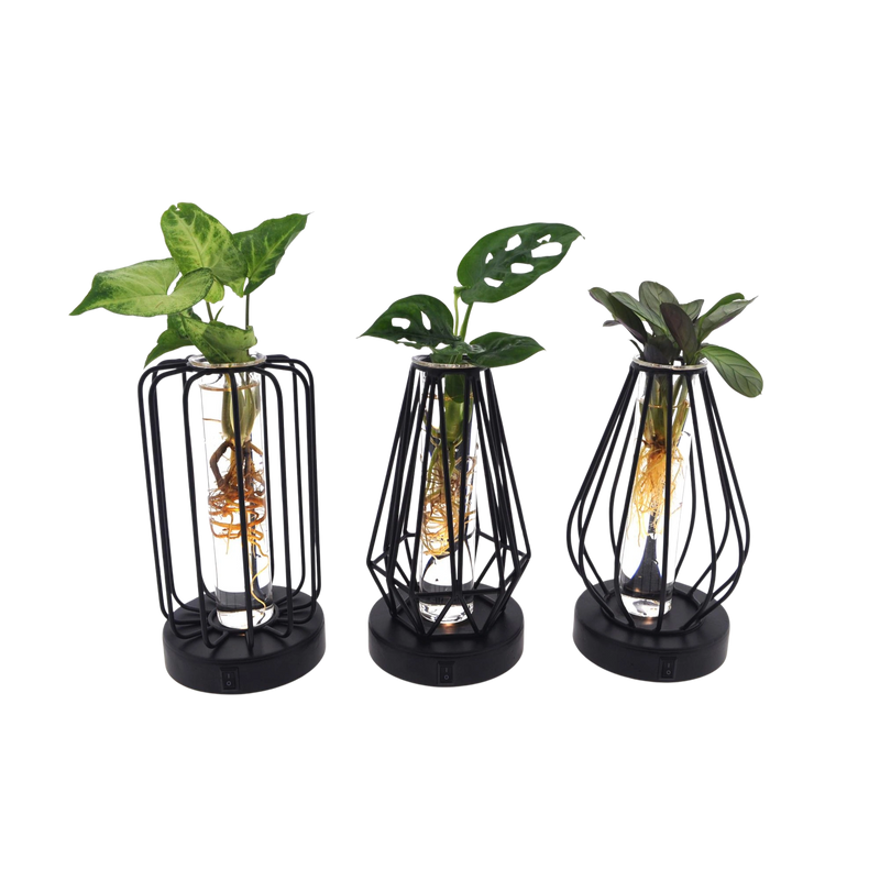 Mix in Turijn Glas + Led